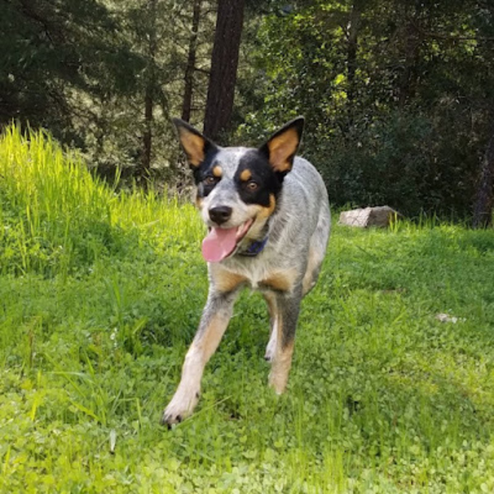 Meet your Posher, Zeek